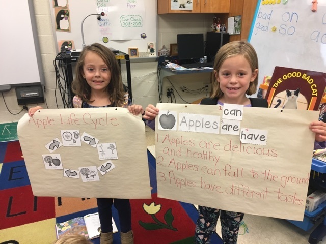 1st Grade Apple Unit Activities