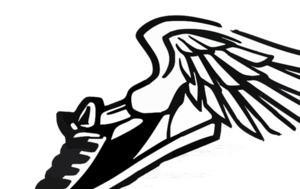 CMS Cross Country News